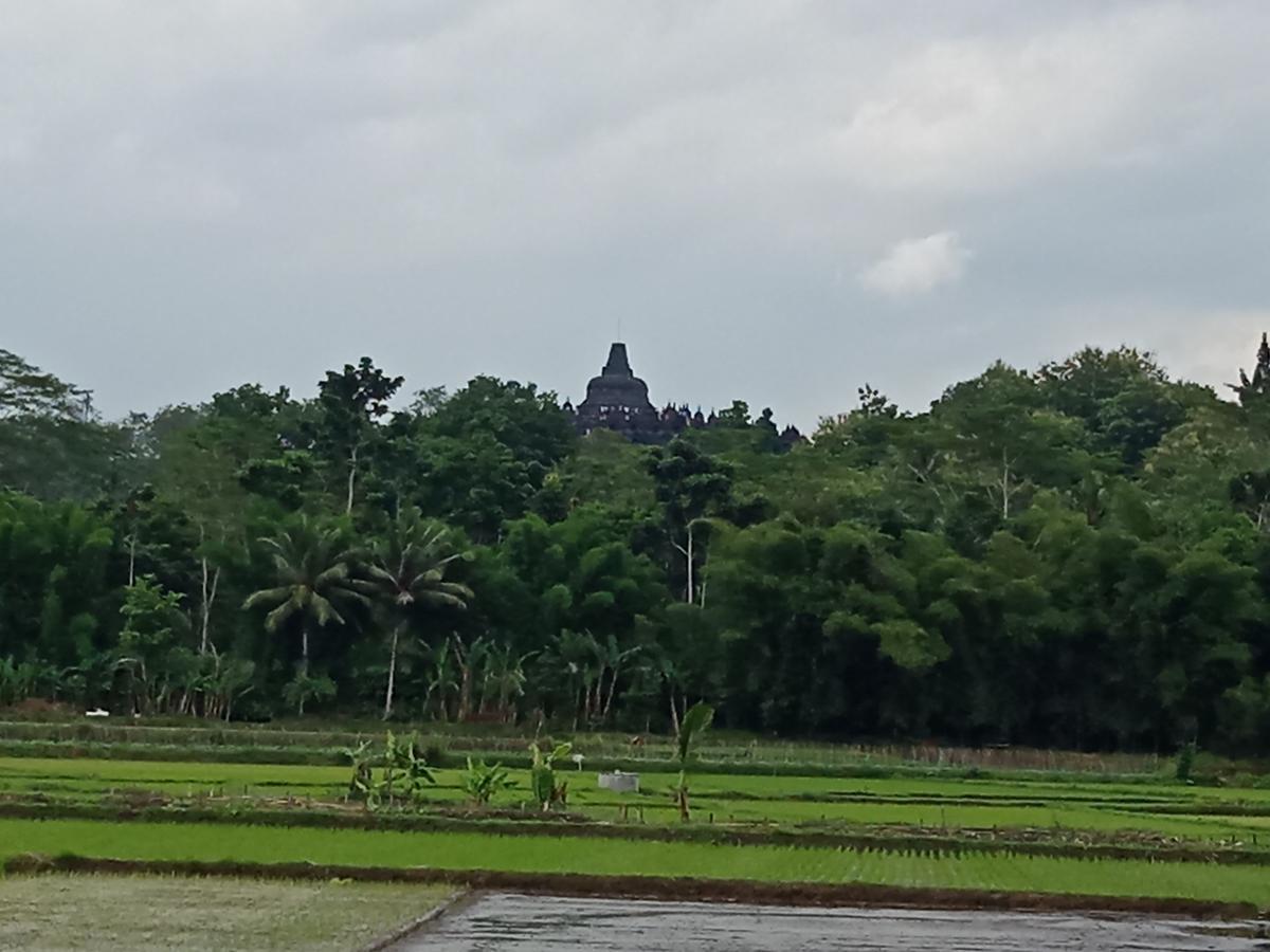 ماجلانج Penginapan & Guest House Mbok Dhe Borobudur المظهر الخارجي الصورة